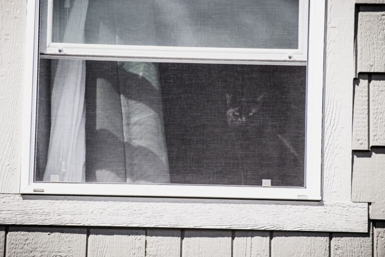 Gato asomado a través de una mosquitera de protección en una ventana
