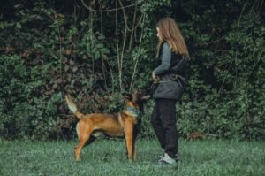 Mujer adiestrando a su perro con correa larga en un campo abierto