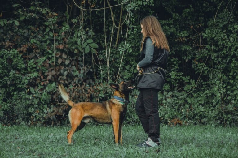 Mujer adiestrando a su perro con correa larga en un campo abierto