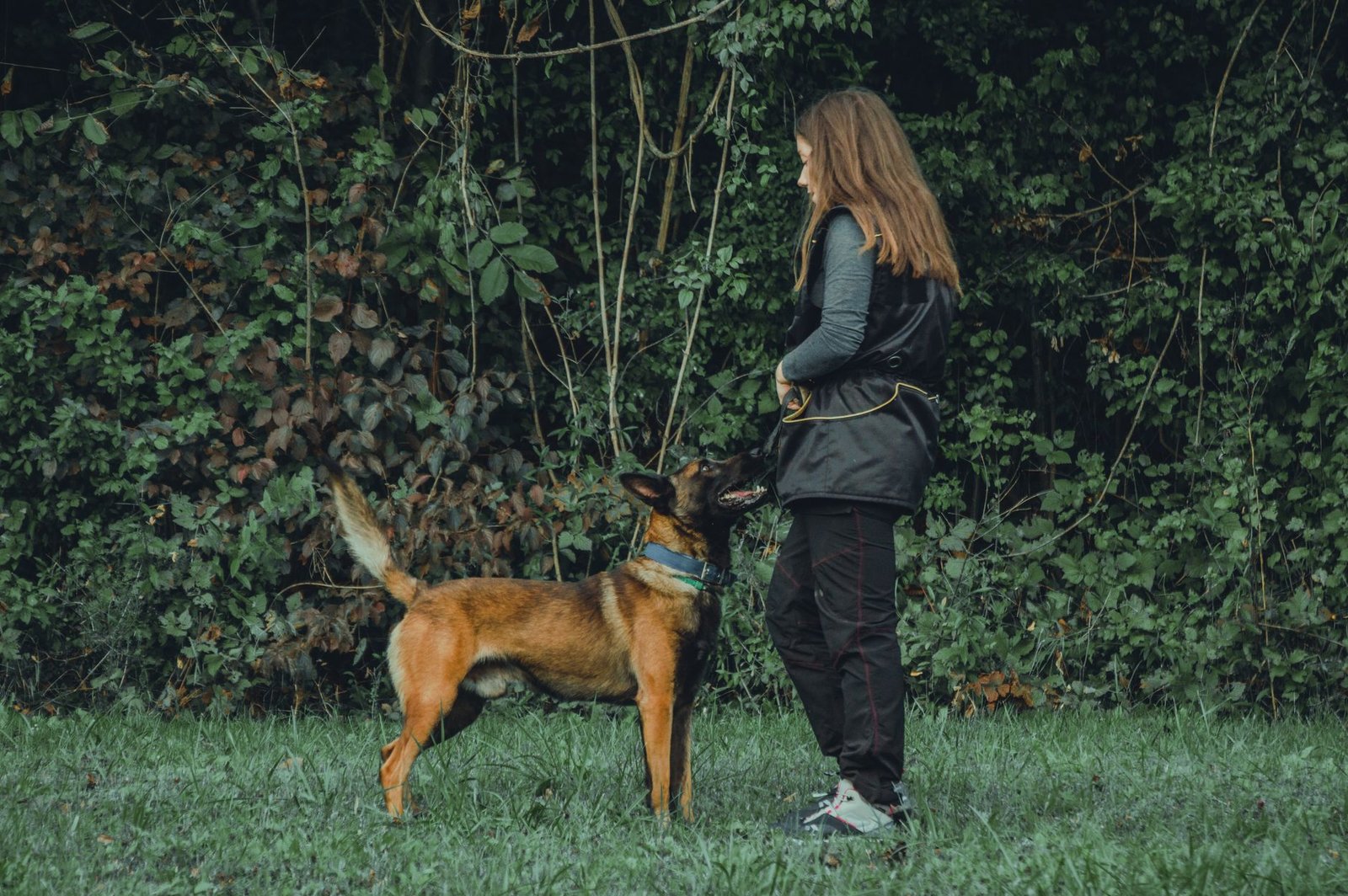 Mujer adiestrando a su perro con correa larga en un campo abierto