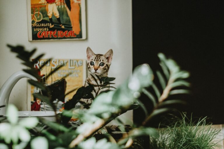Gato asomándose entre plantas de interior, en sintonía con el origen vegetal de este tipo de arena