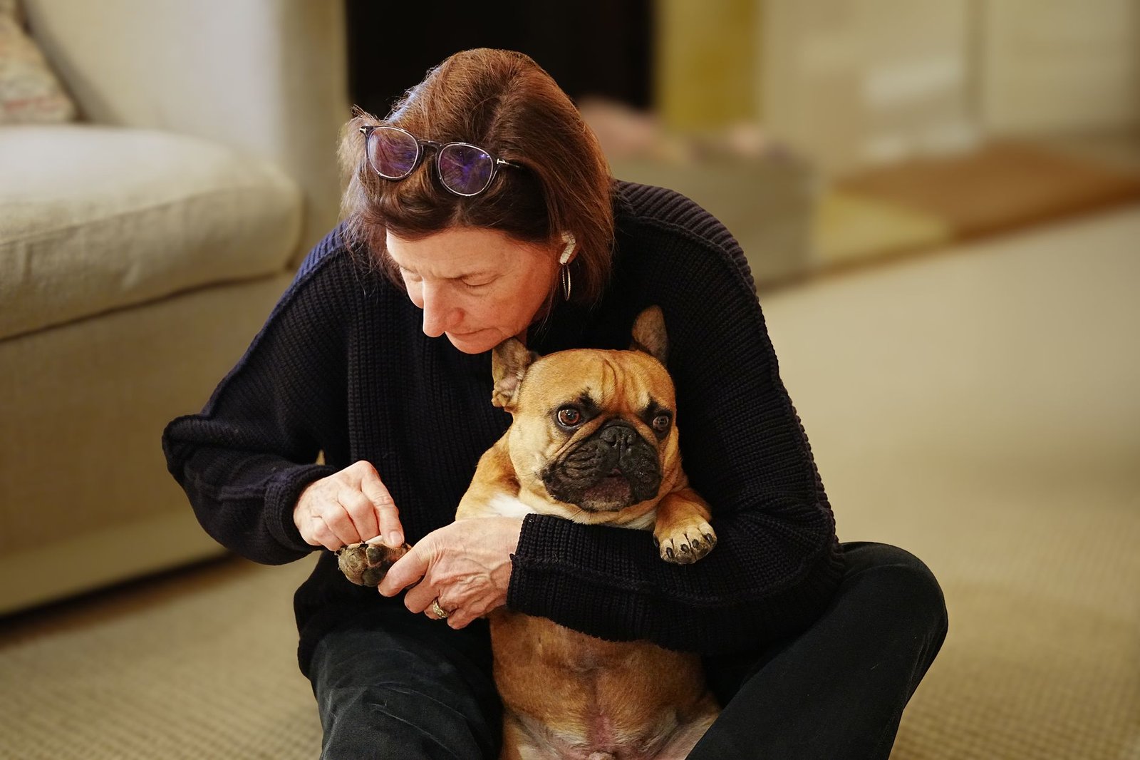 Mujer cortando las uñas a un bulldog francés sobre una alfombra en casa