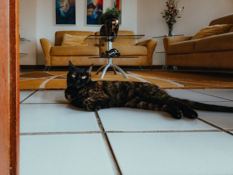 Gato negro tumbado en el suelo de un salón moderno