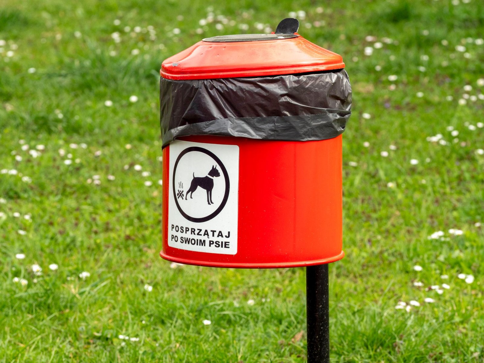 Papelera para excrementos de perro en un parque