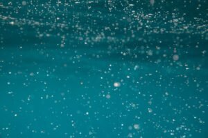 Burbujas de aire ascendiendo en el agua de un acuario