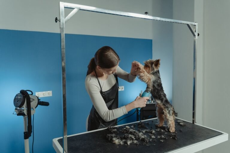 Peluquero recortando el pelo de un perro con cortapelos eléctrico