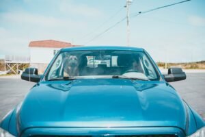 Perro sentado dentro de un coche azul aparcado