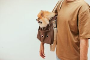 Perro pequeño dentro de un transportín sujetado por su dueño