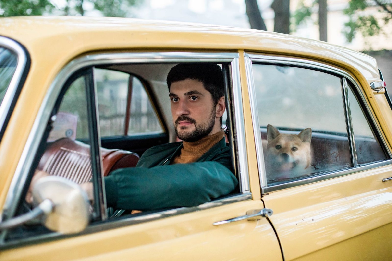 Perro viajando en el asiento trasero del coche